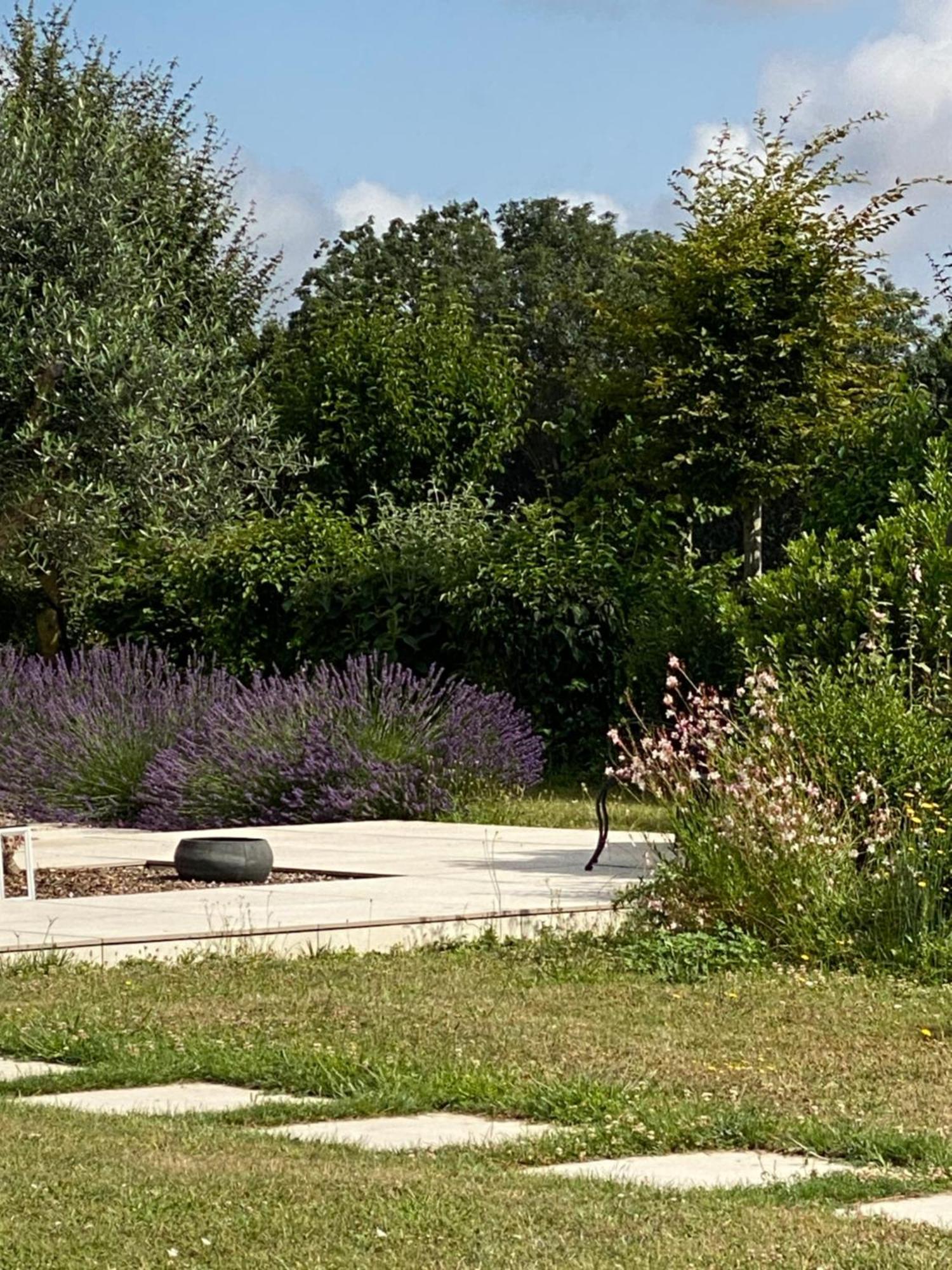 La Chaumeauniere Bed and Breakfast Aigrefeuille-dʼAunis Esterno foto